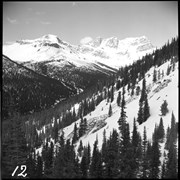Cover image of Avalanche Rescue Larch Hill Temple Chalet